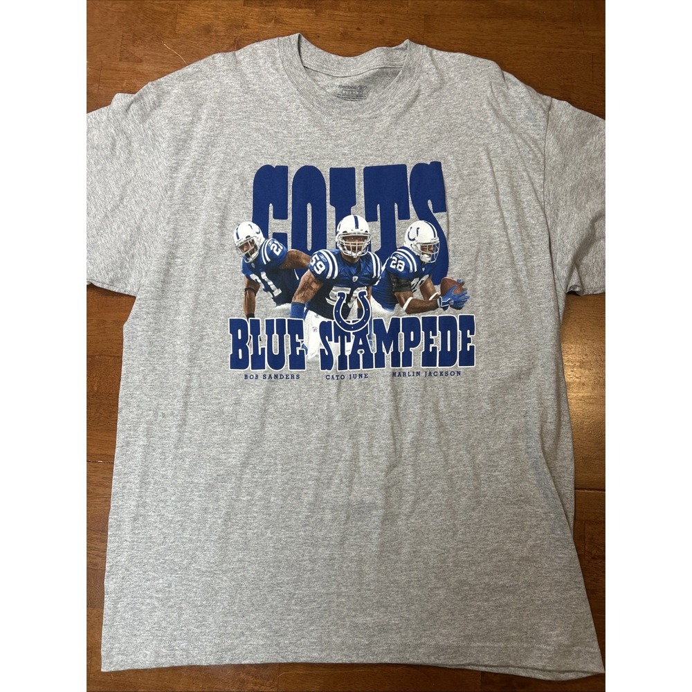 Reebok NFL Indianapolis Colts T Shirt Men's Size Large Gray Blue Stampede